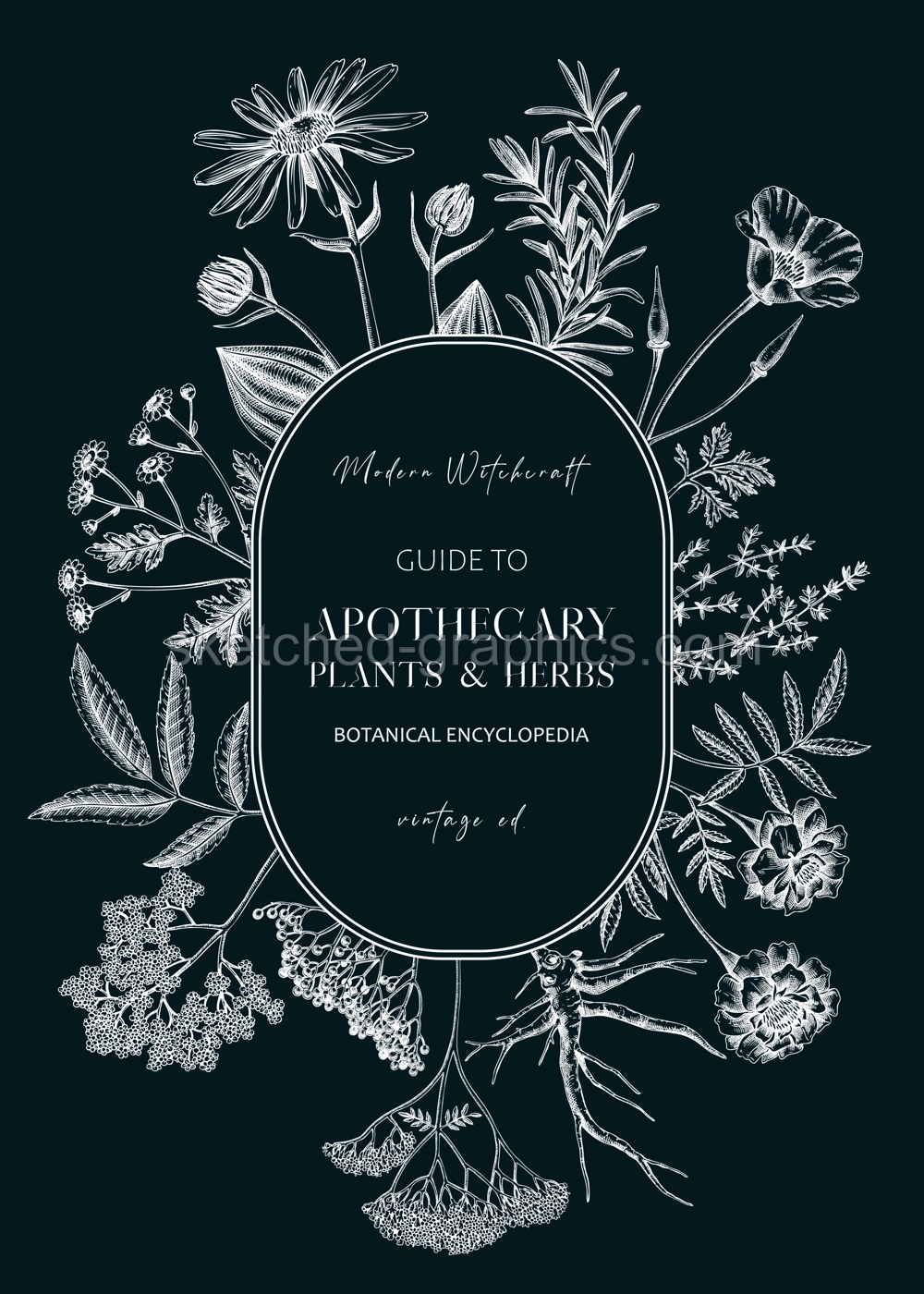 Apothecary plant wreath design. Witchcraft background. Herbal remedies, medicinal plant, witch herbs, natural medicine hand-drawn vector illustration on chalkboard. NOT AI genereted Illustration
